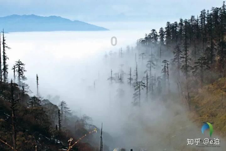 月光影视