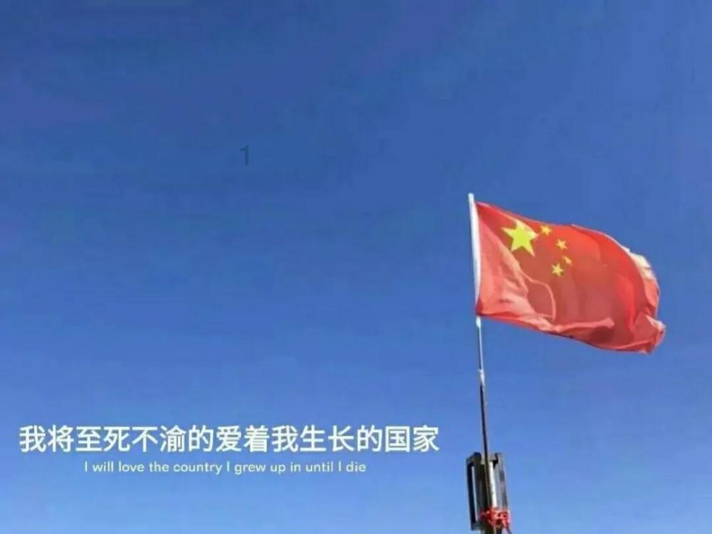 小乌龟逃亡记