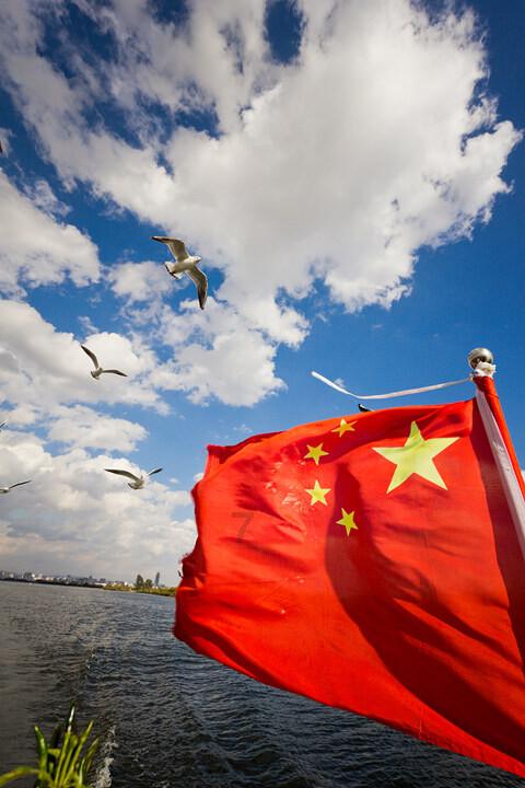 拯救精灵的土地9