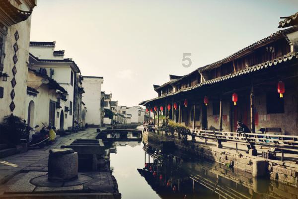 细胞分裂4