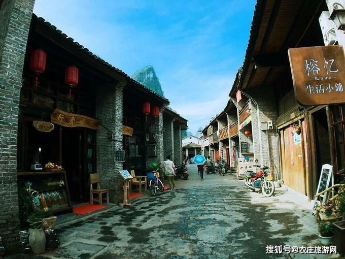 小鸡要回家